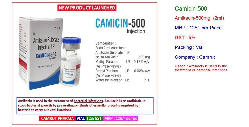 camicin-500