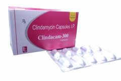 clindacam_300