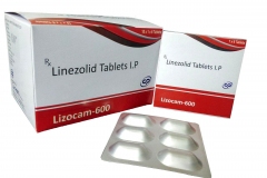lizocam
