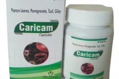 caricam