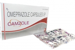 camzole_20